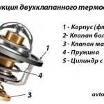 Конструкция двухклапанного термостата